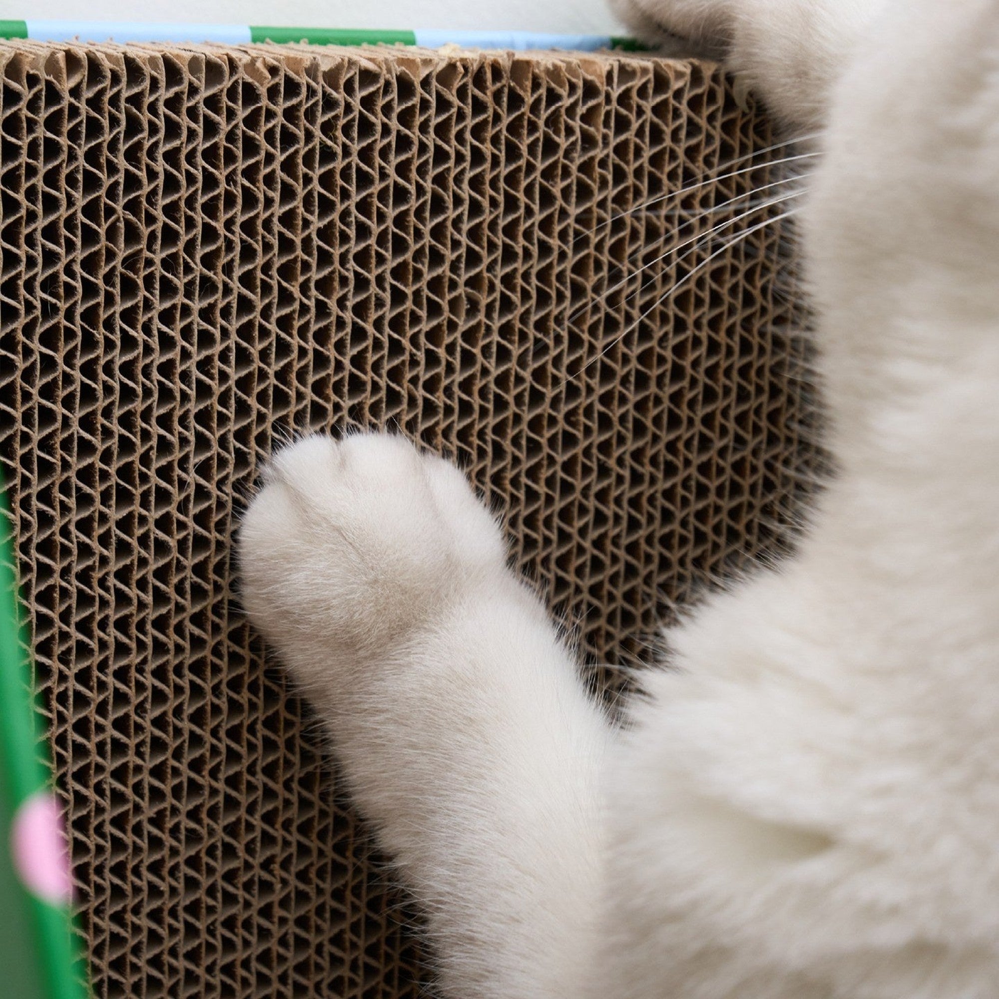 ZEZE Standing Cat Scratcher Box - Green Stripe