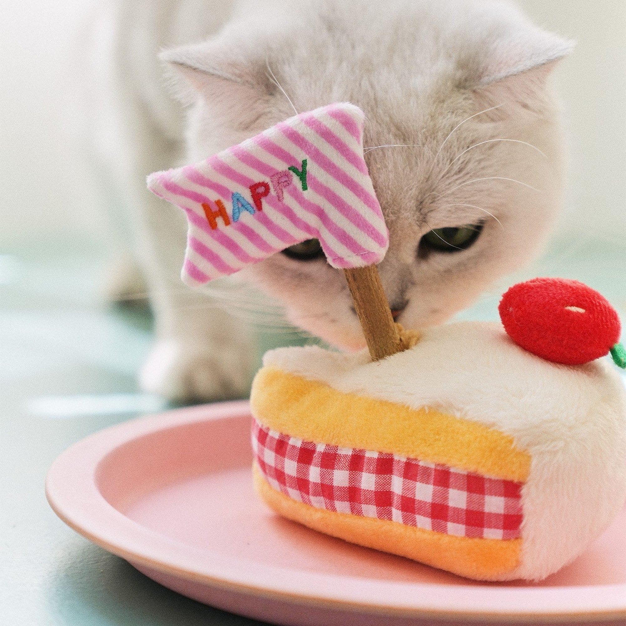 Cat sniffing the silvervine flagpole on the cake toy