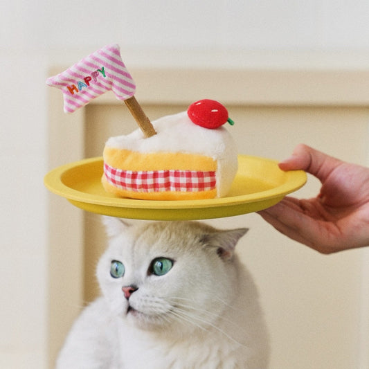 Cake cat toy on a plate balanced over a cat's head