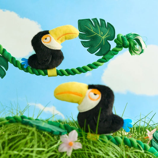 Two toucan rope toys on green vines in jungle grass