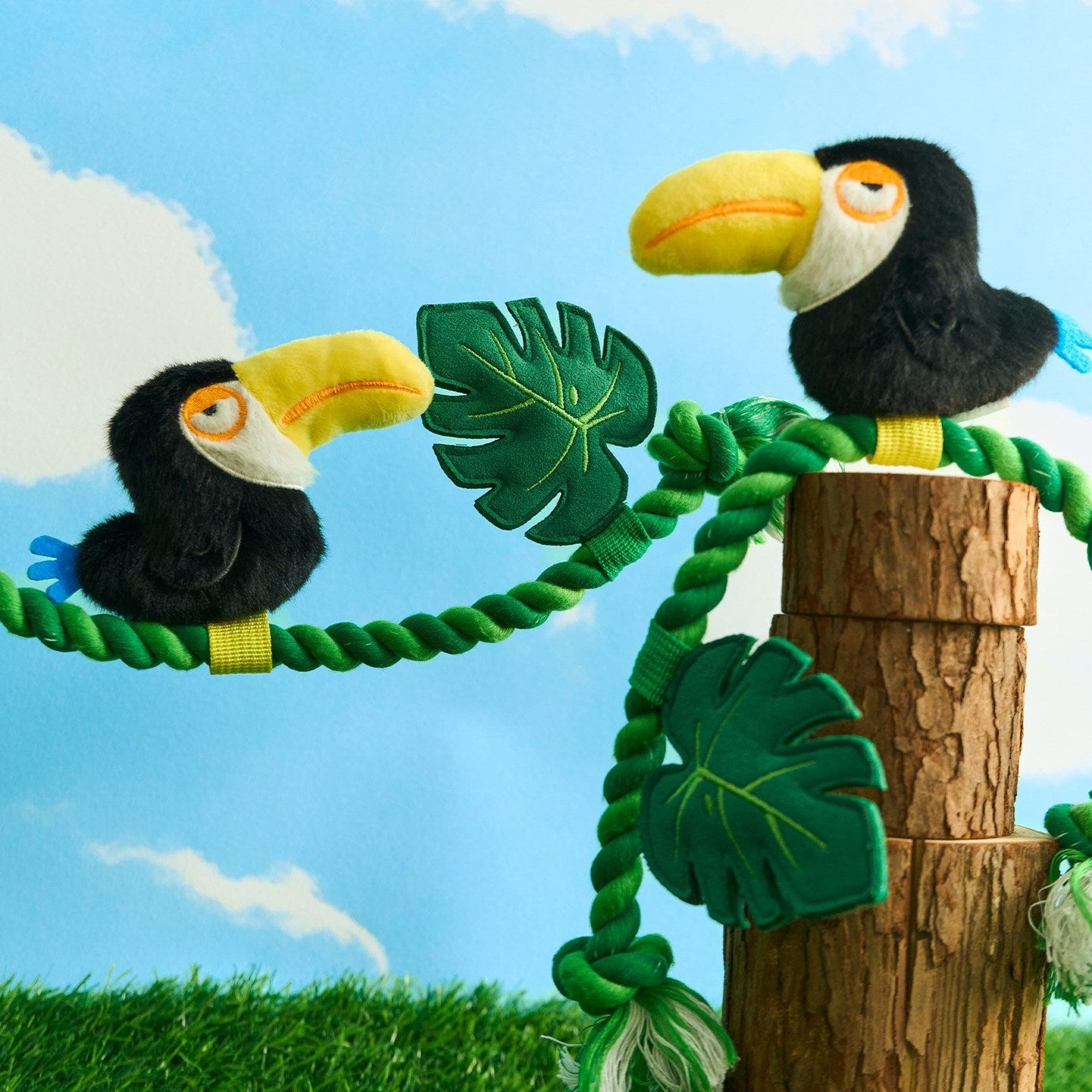 Toucan rope vine draped over a tree stump