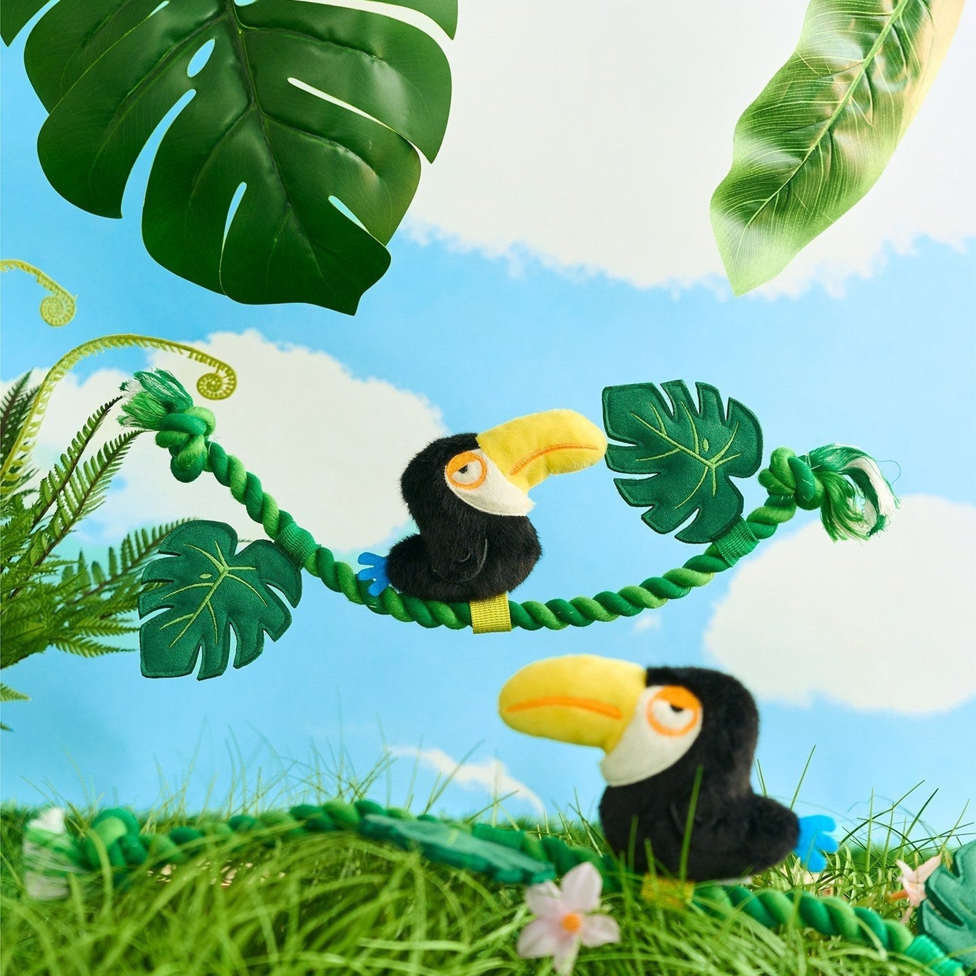 Toucan rope toys in a tropical jungle scene